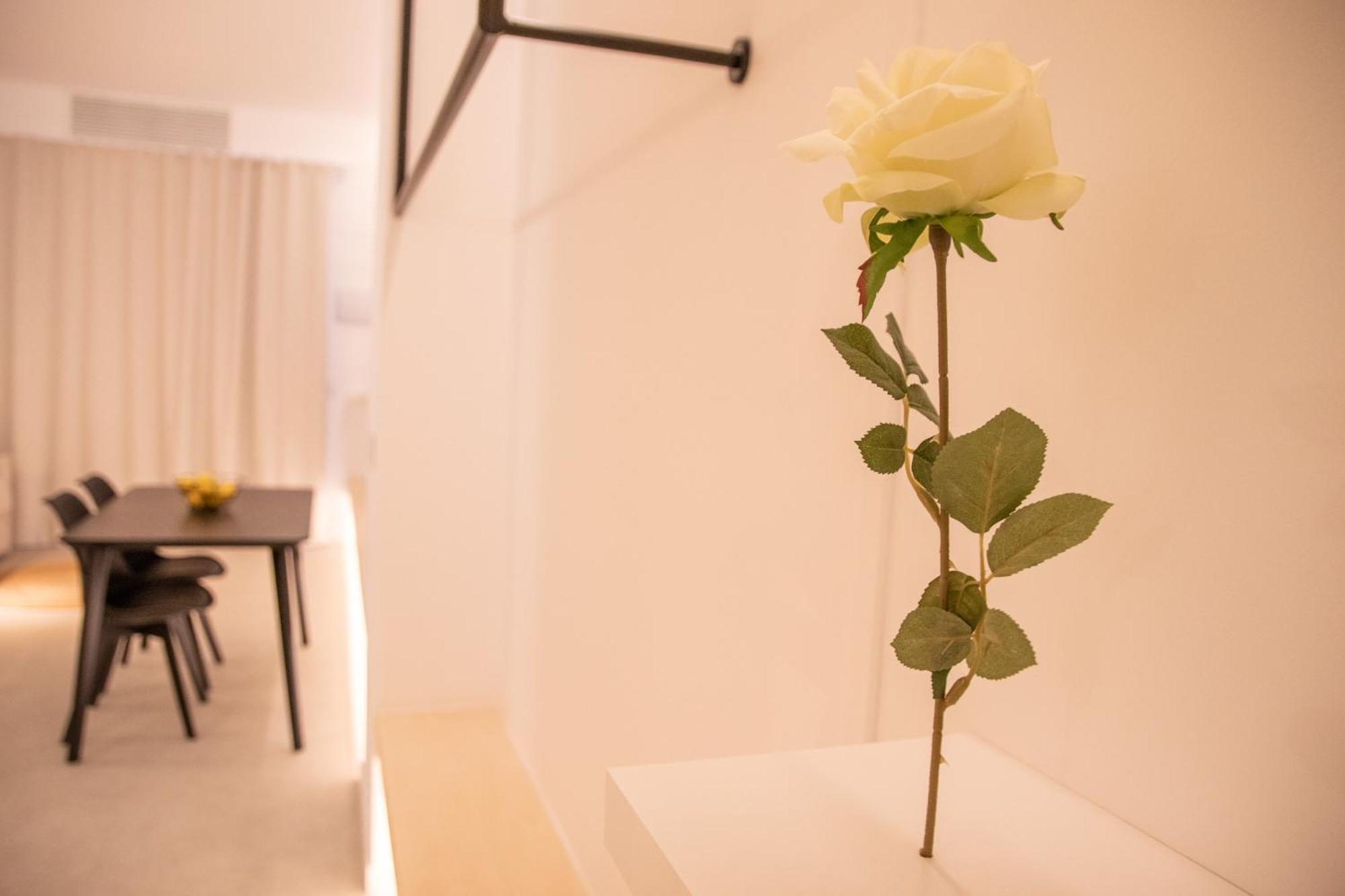 Breathe Apartments By Concept Flats فالنسيا المظهر الخارجي الصورة